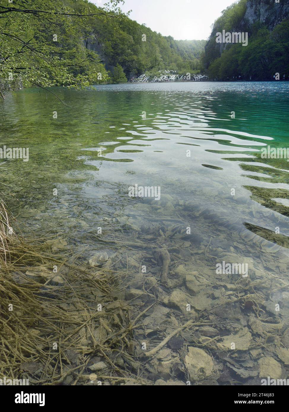 Reflexion klares Wasser des Plitvicer Seen Nationalpark UNESCO, dramatische ungewöhnliche Landschaft, grüne Laub Alpenwald, biologische Vielfalt, Wanderwege Stockfoto