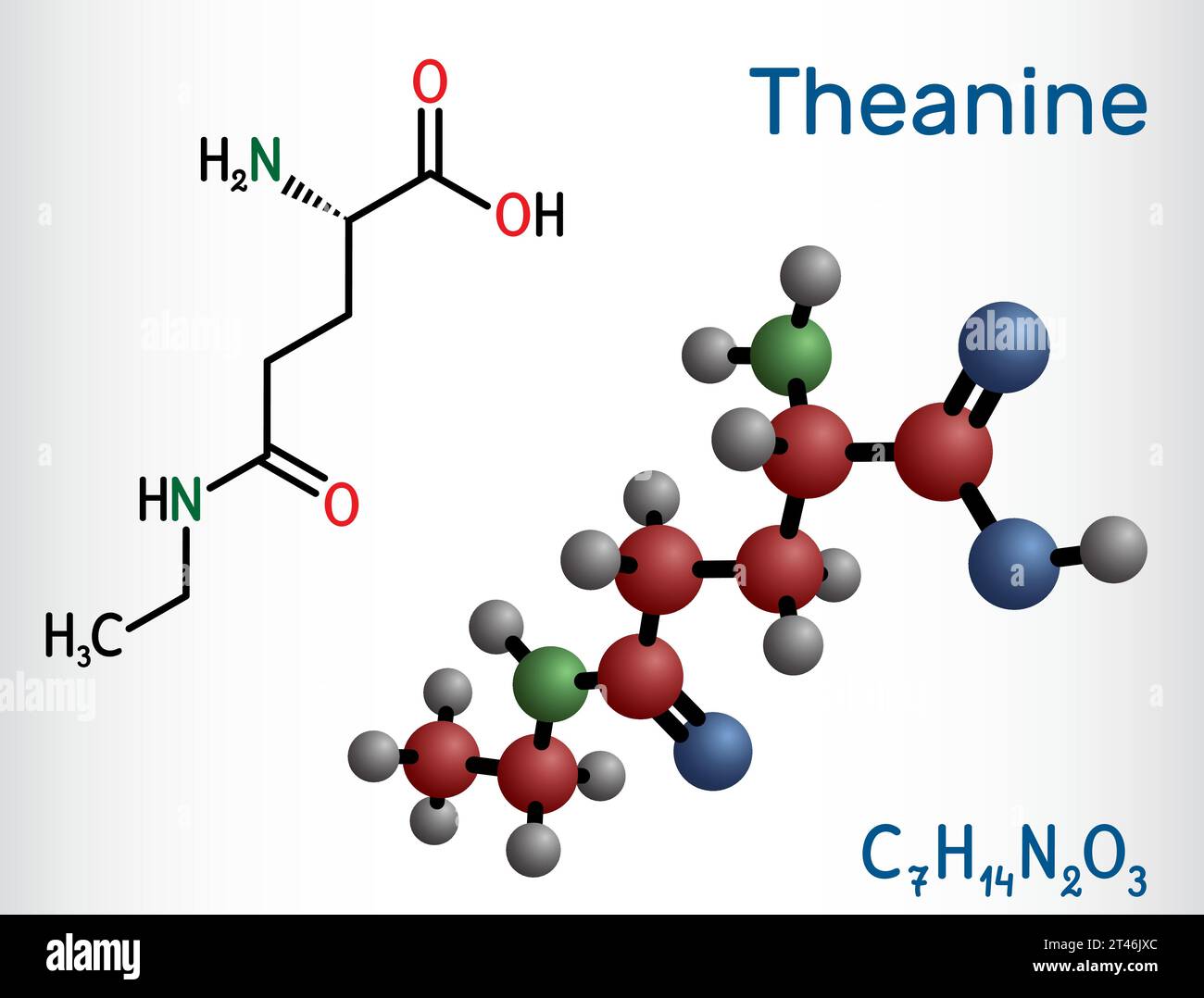 Theanin, Theaninmolekül. Es ist ein neuroprotektiver Wirkstoff, pflanzlicher Metabolit, der in grünem Tee gefunden wird. Strukturelle chemische Formel, Molekülmodell. Vektor Stock Vektor
