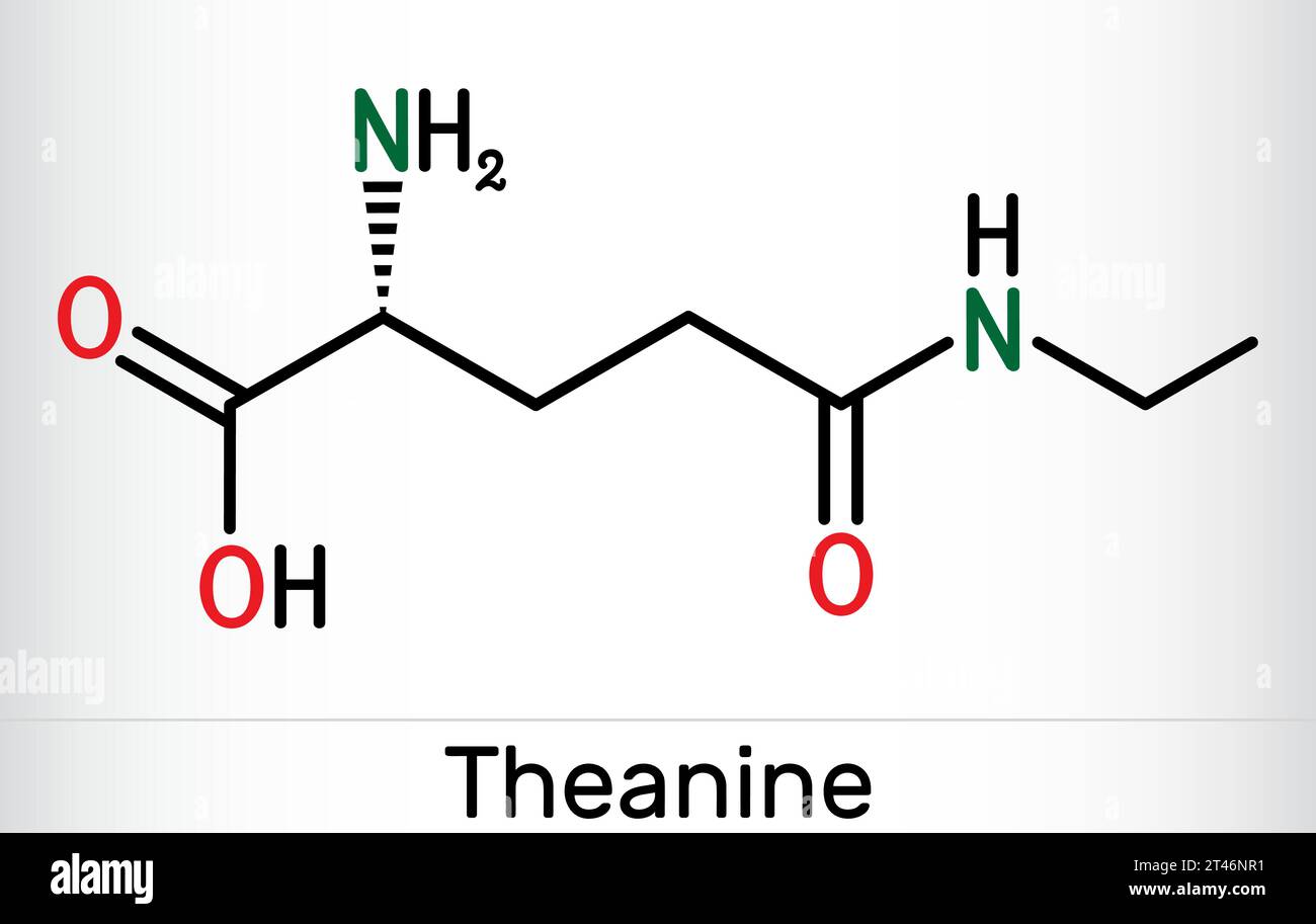 Theanin, Theaninmolekül. Es ist ein neuroprotektiver Wirkstoff, pflanzlicher Metabolit, der in grünem Tee gefunden wird. Die chemische Formel des Skeletts. Vektorabbildung Stock Vektor