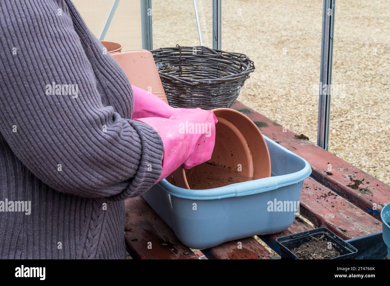 Frau in ihrem Gewächshaus putzt Blumentöpfe bereit für die nächste Saison. Stockfoto