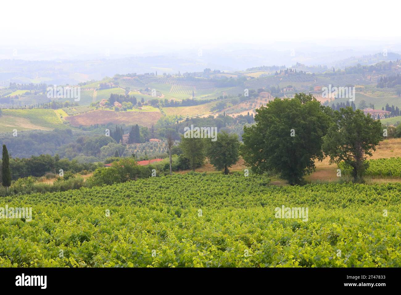 Das Bild zeigt eine atemberaubende toskanische Landschaft in der Nähe von San Gimignano in einem Dunst, der der Szene eine traumhafte, ätherische Qualität verleiht. Stockfoto