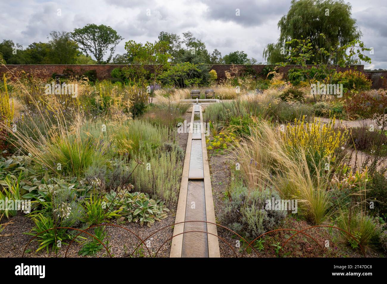 Sommer in den Gärten von RHS Bridgewater, Worsley, Salford, England. Gemischte Pflanzen im Paradise Garden. Stockfoto