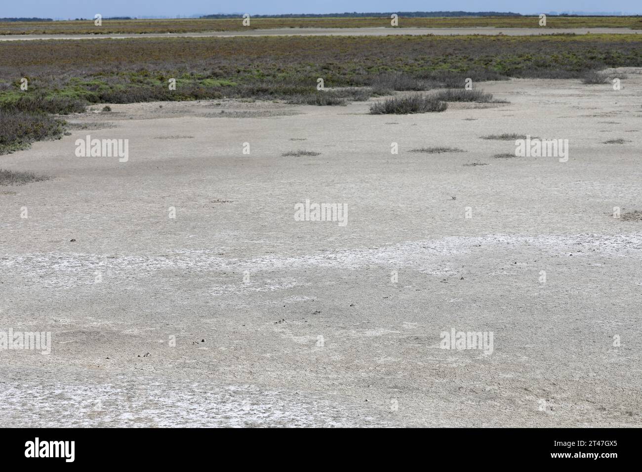 Salzablagerungen an der Küste in der Camargue Stockfoto