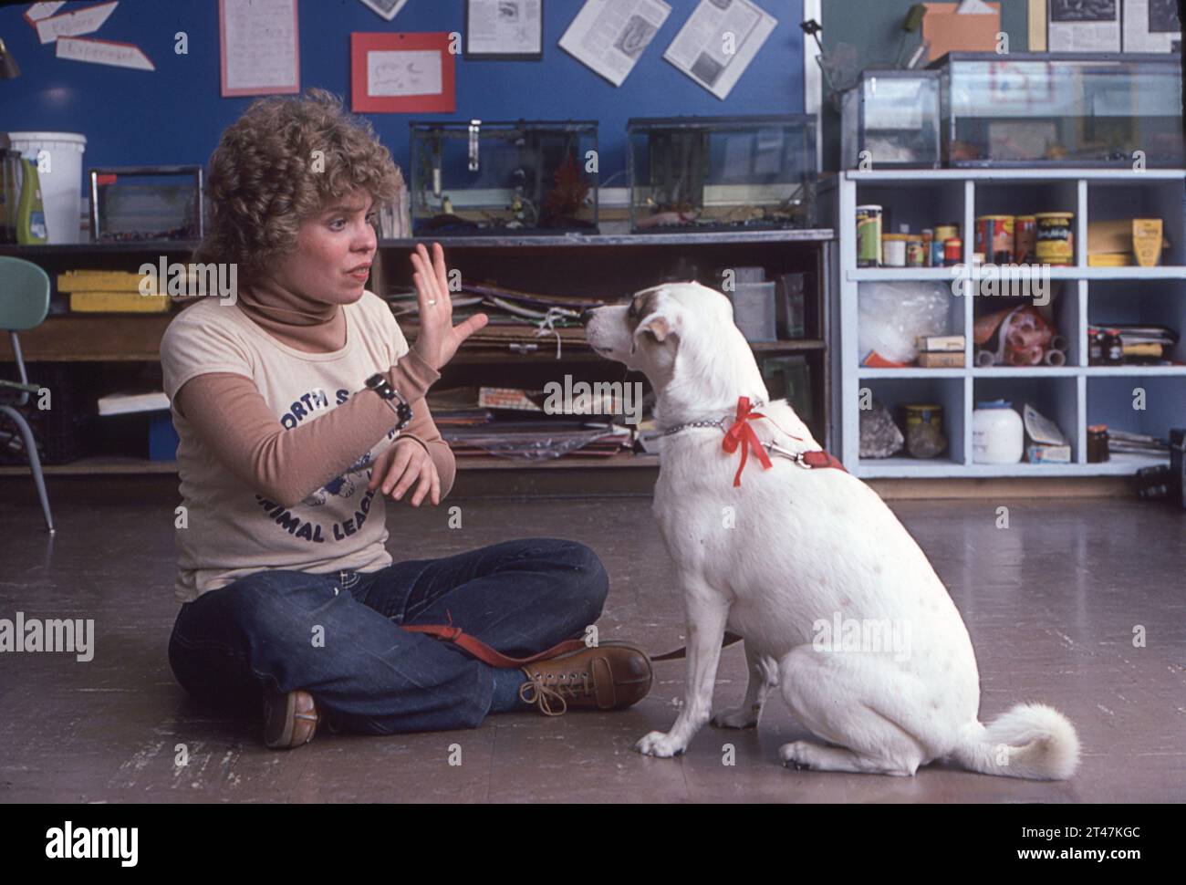 Ein taubes Mädchen, das ihrem Hund beigebracht hat, Befehle in Gebärdensprache zu befolgen. 1982 demonstrierte sie dies für einen Long Island Klassenzimmer. Stockfoto