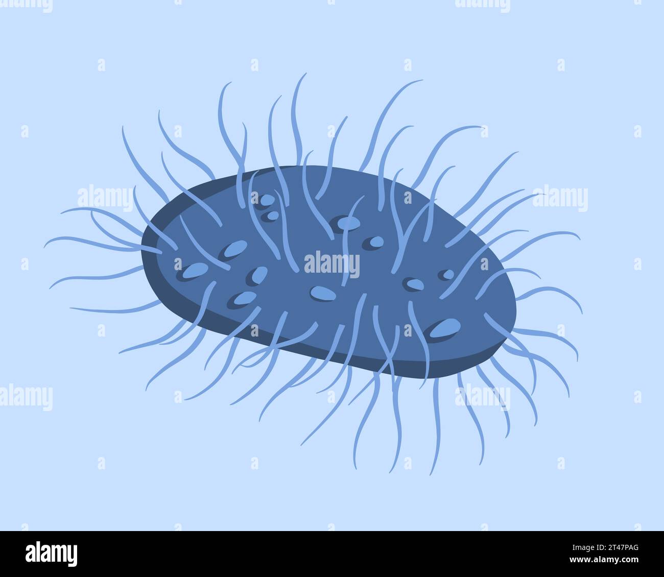 Vektorisolierte Illustration des inguinalen Granulombakteriums. Stock Vektor