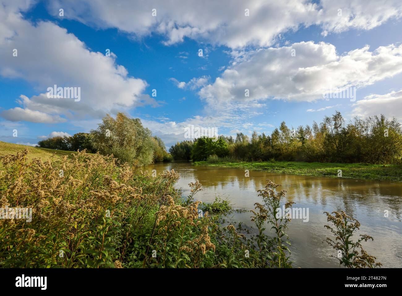 Bergkamen, Ruhrgebiet, Nordrhein-Westfalen, Deutschland - Herbstlandschaft an der Seseke. Die renaturierte Seseke, ein Nebenfluss der Lippe, wurde transf Stockfoto