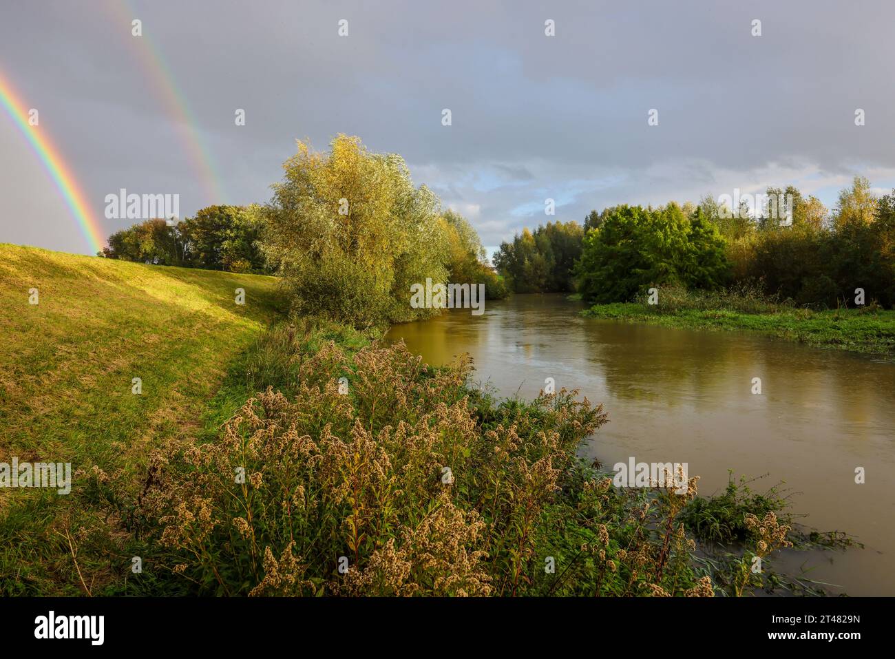 Bergkamen, Ruhrgebiet, Nordrhein-Westfalen, Deutschland - Herbstlandschaft mit Regenbogen an der Seseke. Die renaturierte Seseke, ein Nebenfluss der Lipp Stockfoto