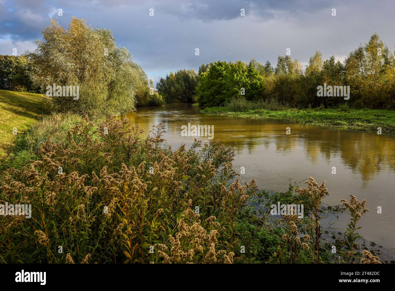 Bergkamen, Ruhrgebiet, Nordrhein-Westfalen, Deutschland - Herbstlandschaft an der Seseke. Die renaturierte Seseke, ein Nebenfluss der Lippe, wurde zum naturnahem Gewaesser umgestaltet, Hochwasserschutz und Biodiversitaet durch neu gestaltete Ueberflutungsflaechen. Die Seseke ist nach dem Bau eines parallel verlaufenden Abwasserkanals jetzt abwasserfrei, war vorher ein offener, oberirdischer Schmutzwasserkanal, Mischwasserkanal mit Oberflaechenwasser und Abwasser. Bergkamen Nordrhein-Westfalen Deutschland *** Bergkamen, Ruhr, Nordrhein-Westfalen, Deutschland Herbstlandschaft auf der Seseke der Re Stockfoto