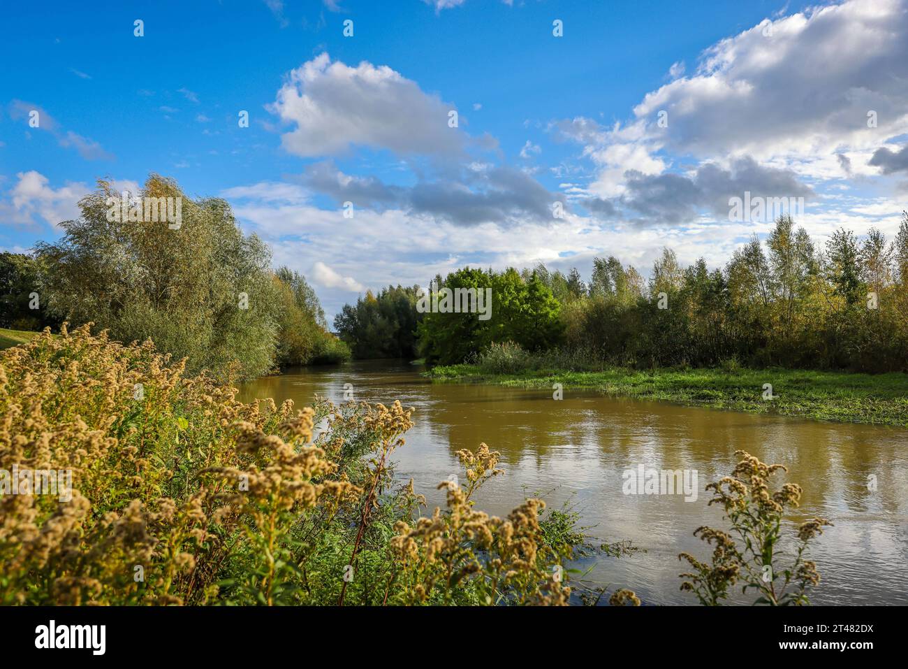 Bergkamen, Ruhrgebiet, Nordrhein-Westfalen, Deutschland - Herbstlandschaft an der Seseke. Die renaturierte Seseke, ein Nebenfluss der Lippe, wurde zum naturnahem Gewaesser umgestaltet, Hochwasserschutz und Biodiversitaet durch neu gestaltete Ueberflutungsflaechen. Die Seseke ist nach dem Bau eines parallel verlaufenden Abwasserkanals jetzt abwasserfrei, war vorher ein offener, oberirdischer Schmutzwasserkanal, Mischwasserkanal mit Oberflaechenwasser und Abwasser. Bergkamen Nordrhein-Westfalen Deutschland *** Bergkamen, Ruhr, Nordrhein-Westfalen, Deutschland Herbstlandschaft auf der Seseke der Re Stockfoto