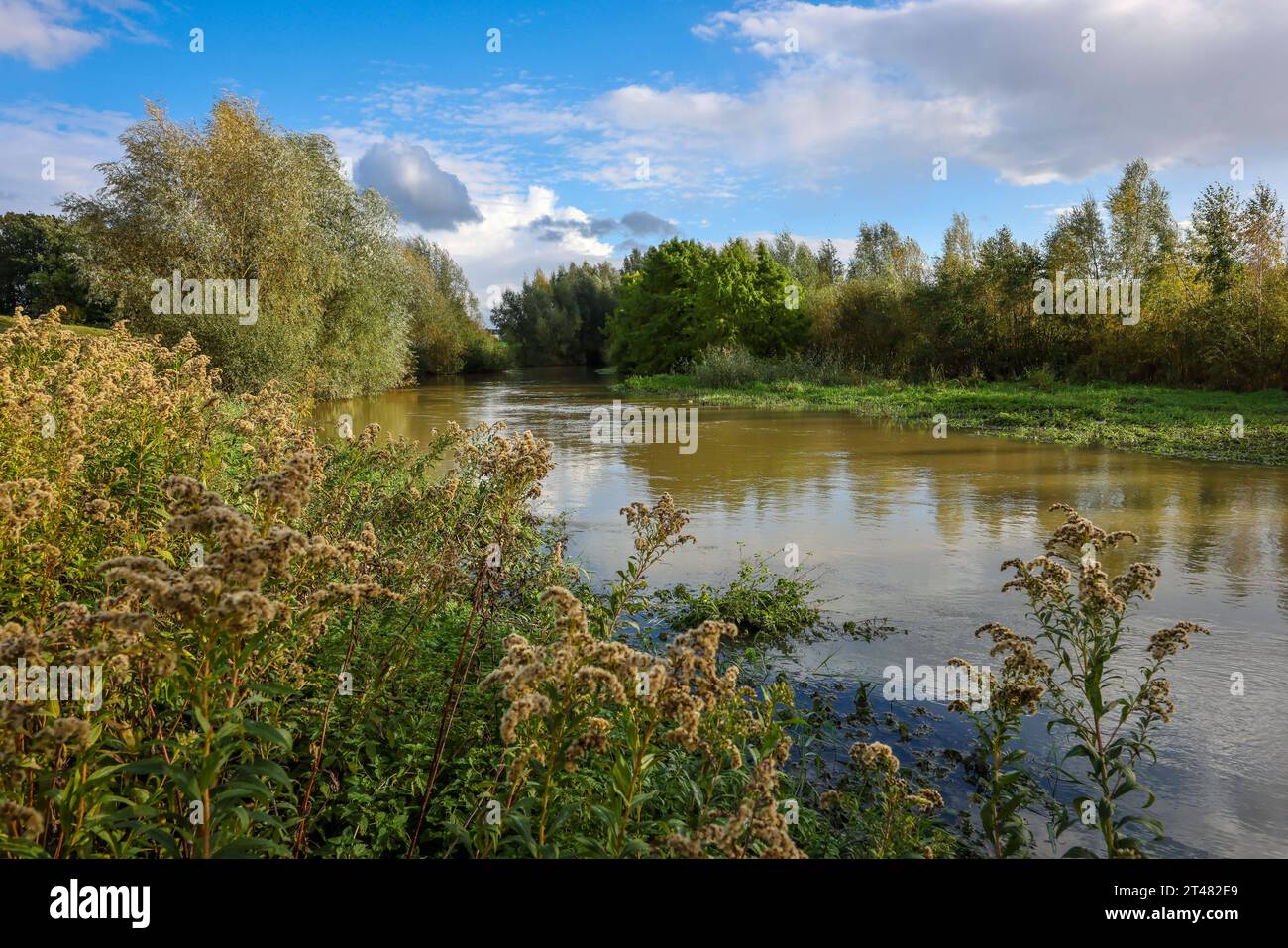 Bergkamen, Ruhrgebiet, Nordrhein-Westfalen, Deutschland - Herbstlandschaft an der Seseke. Die renaturierte Seseke, ein Nebenfluss der Lippe, wurde zum naturnahem Gewaesser umgestaltet, Hochwasserschutz und Biodiversitaet durch neu gestaltete Ueberflutungsflaechen. Die Seseke ist nach dem Bau eines parallel verlaufenden Abwasserkanals jetzt abwasserfrei, war vorher ein offener, oberirdischer Schmutzwasserkanal, Mischwasserkanal mit Oberflaechenwasser und Abwasser. Bergkamen Nordrhein-Westfalen Deutschland *** Bergkamen, Ruhr, Nordrhein-Westfalen, Deutschland Herbstlandschaft auf der Seseke der Re Stockfoto