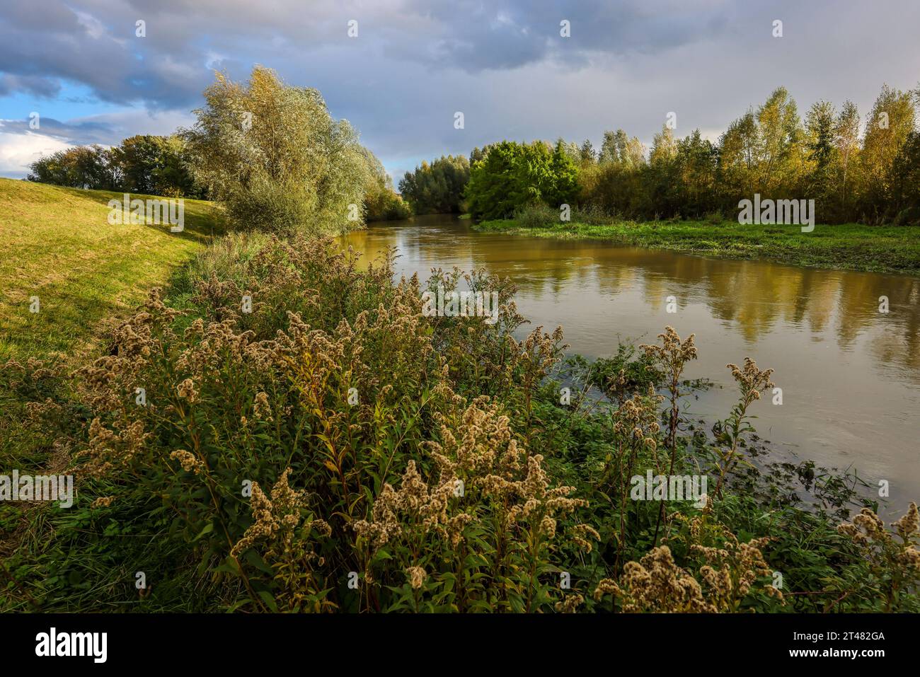 Bergkamen, Ruhrgebiet, Nordrhein-Westfalen, Deutschland - Herbstlandschaft an der Seseke. Die renaturierte Seseke, ein Nebenfluss der Lippe, wurde zum naturnahem Gewaesser umgestaltet, Hochwasserschutz und Biodiversitaet durch neu gestaltete Ueberflutungsflaechen. Die Seseke ist nach dem Bau eines parallel verlaufenden Abwasserkanals jetzt abwasserfrei, war vorher ein offener, oberirdischer Schmutzwasserkanal, Mischwasserkanal mit Oberflaechenwasser und Abwasser. Bergkamen Nordrhein-Westfalen Deutschland *** Bergkamen, Ruhr, Nordrhein-Westfalen, Deutschland Herbstlandschaft auf der Seseke der Re Stockfoto