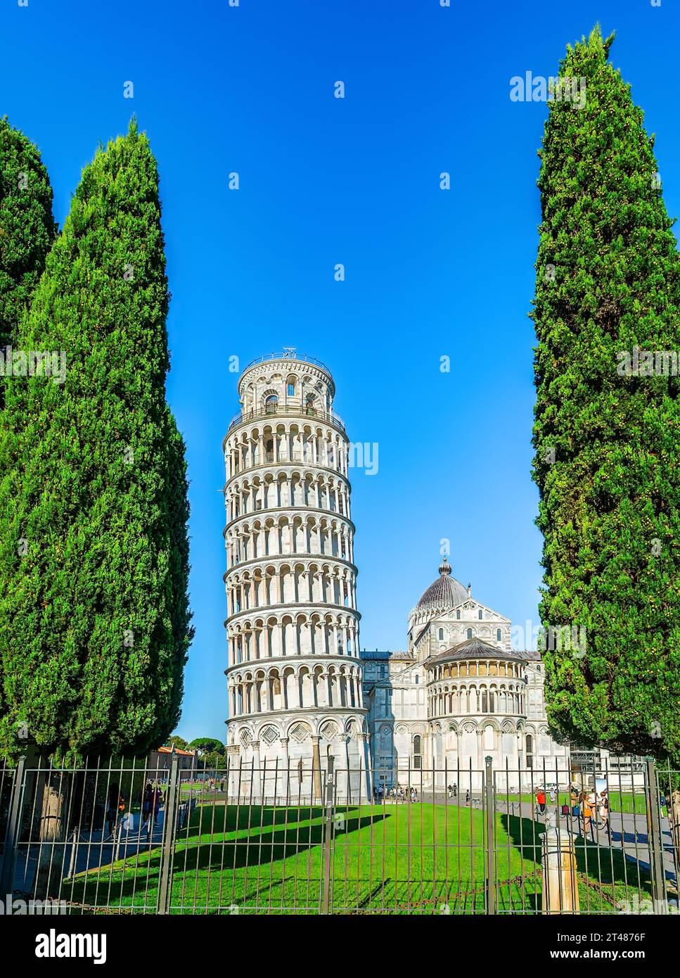 Blick auf die Kathedrale von Pisa und den Schiefen Turm von Pisa von der Piazza dei Miracoli Stockfoto