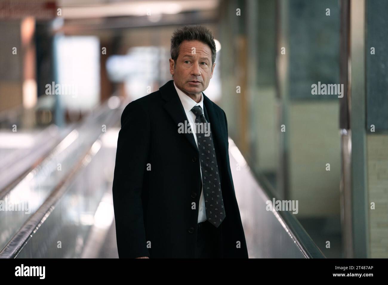 Was Später Passiert, David Duchovny Stockfoto