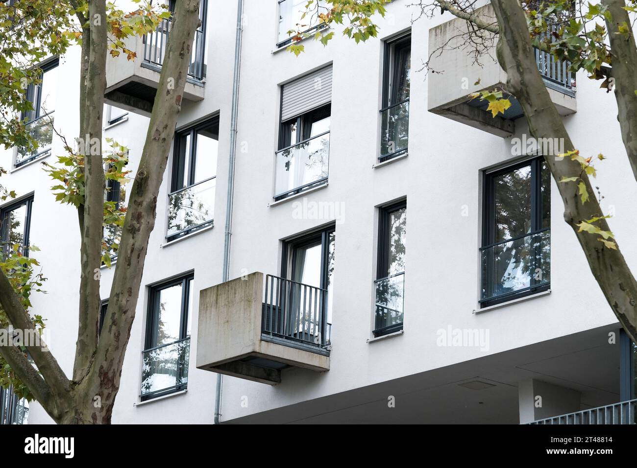 Düsseldorf 29.10.2023 Wohnungen Wohnungsnot Mietswohnung Mieten Mietpreis sozialer Wohnungsbau Immobilien Wohnraummangel Wohnung Baustelle Neubau Mehrfamilienhaus Mietshaus Miete Mietspiegel Mietpreisspiegel Immobilie Wohnungsmangel Baustau Wohnimmobilie Wohnungsimmobilien Mietpreise Altbau Leerstand Baumaterial Baustoffe Ballungsgebiet bezahlbarer Wohnraum CO2-Preis CO2 Bundes-Klimaschutzgesetz Heizen Heizung Klimapaket Mieter Vermieter Mietpreisbremse Klimasteuer Energiewende Büro Büros Homeoffice Home-Office Konjunkturpaket Grundsteuerreform Grundsteuererklärung Wohngeld Wohnungsgeld Wohnun Stockfoto