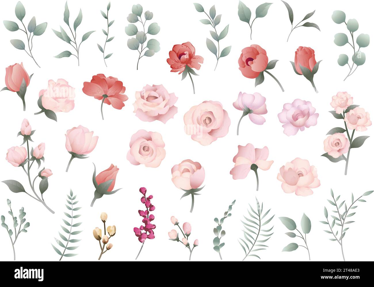 Vektor-Pastellfarbene Blume und Botanisches Element Illustration auf weißem Hintergrund isoliert. Stock Vektor