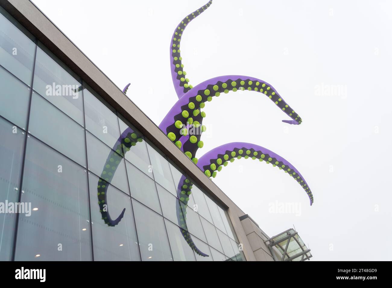 MonsterBoro öffentliche Kunstinstallation aufblasbarer Kreaturen, einige mit Tentakeln, auf Gebäuden in Middlesbrough, Großbritanniens Stadtzentrum, nach Entwürfen in Air. Stockfoto