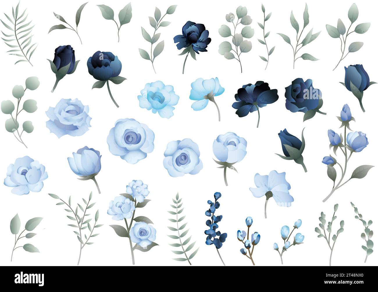 Vektor-Pastellfarbene Blume und Botanisches Element Illustration auf weißem Hintergrund isoliert. Stock Vektor