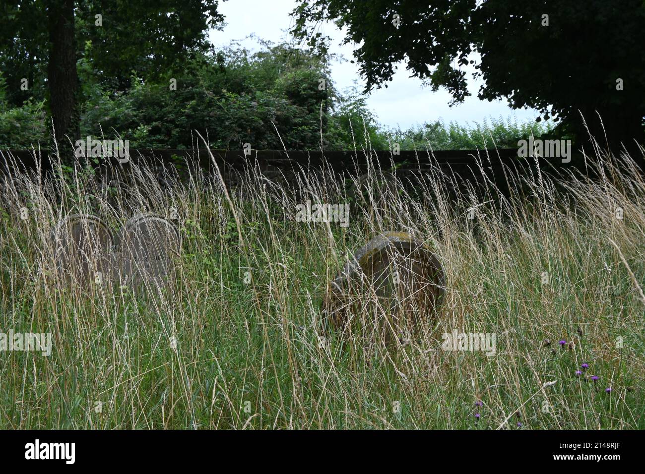 Grabstein, marienkirche, Rickinghall, suffolk Stockfoto