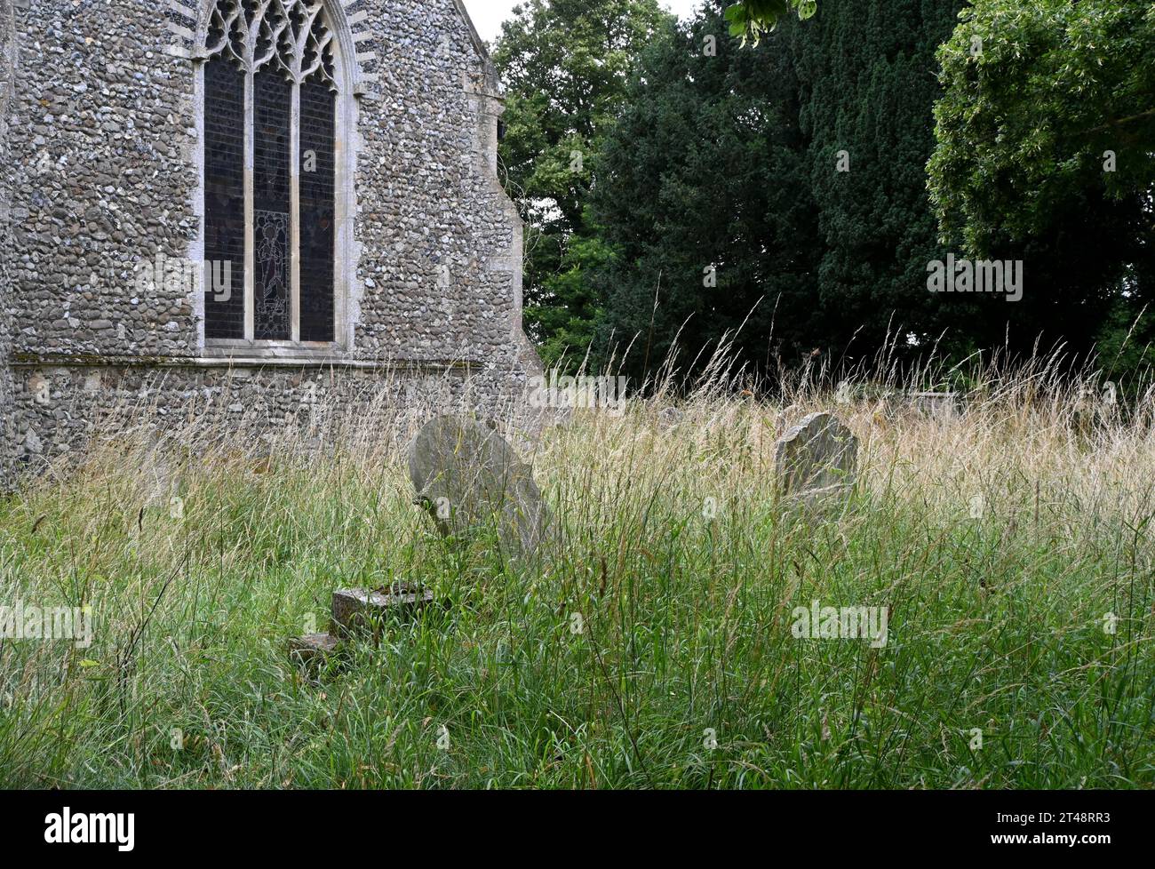 marienkirche, Rickinghall, suffolk Stockfoto