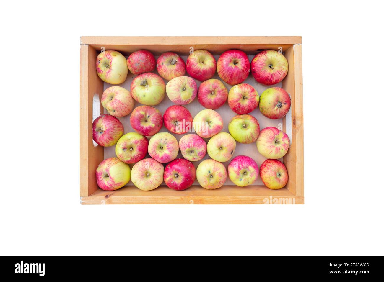 Organische rote gestreifte Apfelfrüchte in der Holzkiste mit Blick von oben isoliert auf weiß. Stockfoto