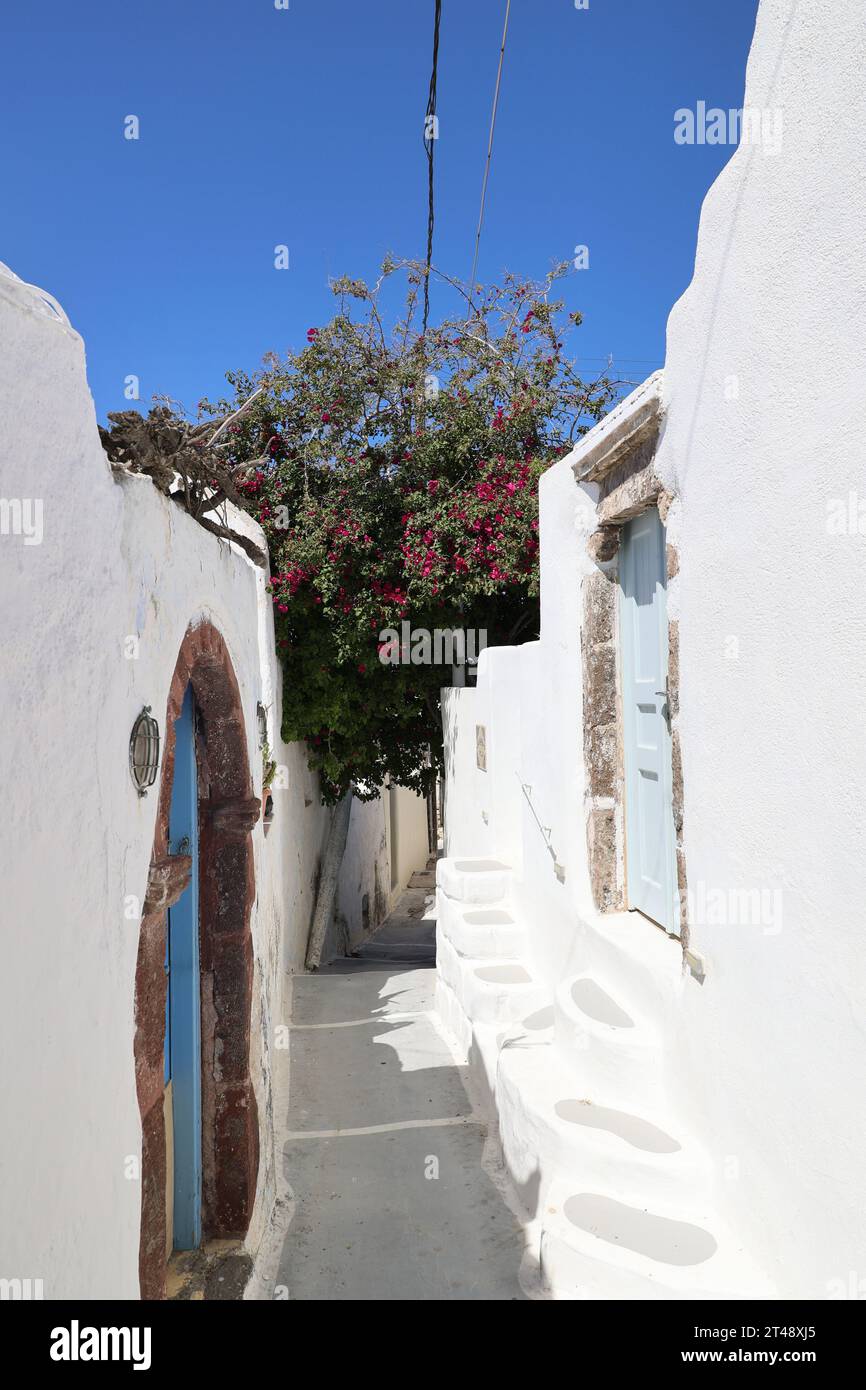 Romantische Allee mit Bougainvillea im kleinen Dorf Emporio auf Santorini - Griechenland Stockfoto