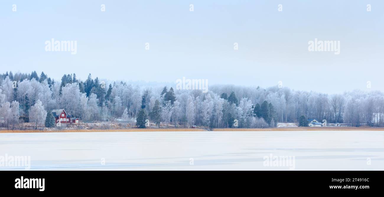 Wintermärchen: Gefrorener See und frostige Wälder. Stockfoto