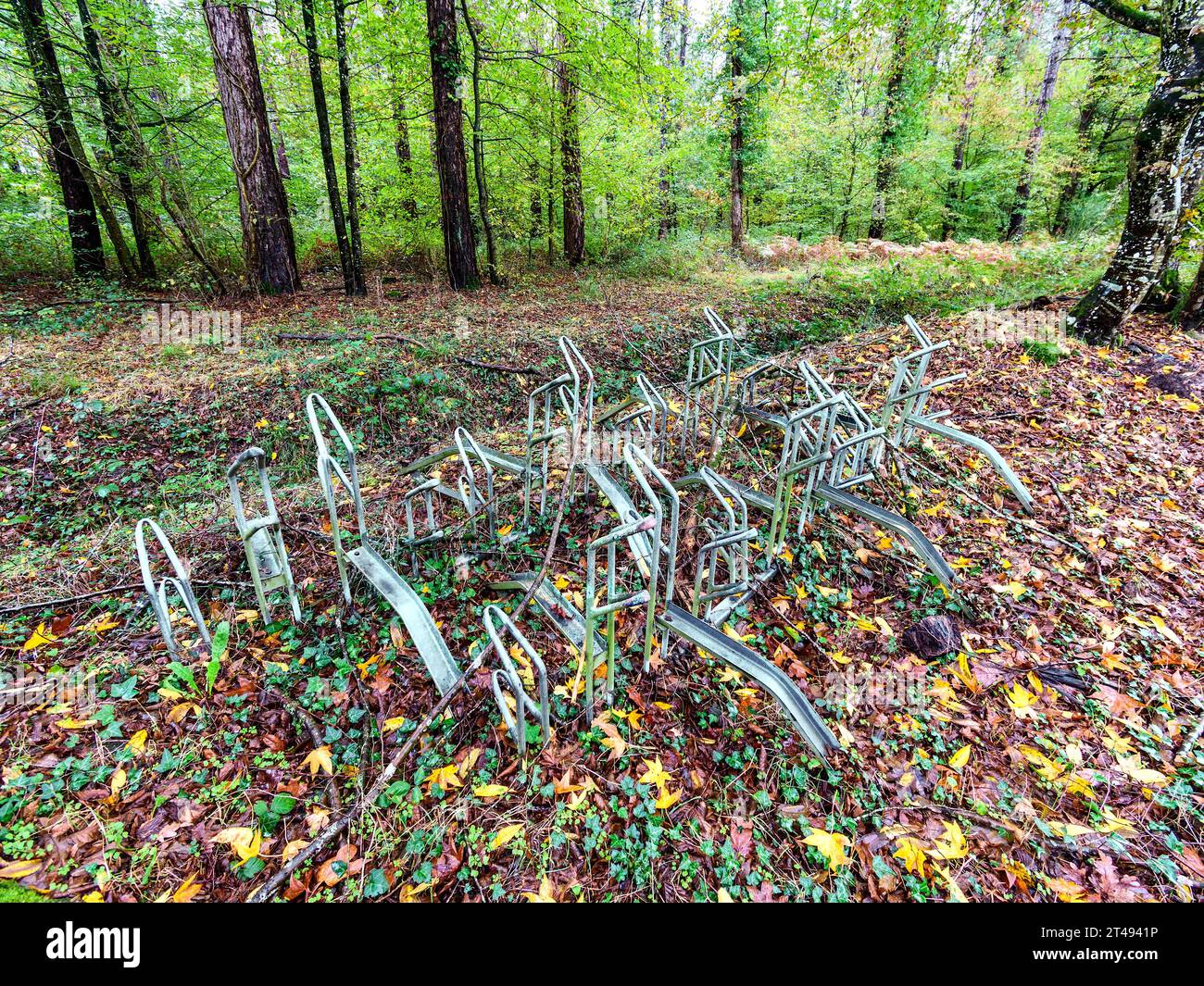 Fahrradständer aus Metall in Waldlichtung - La Ribaloche, Indre-et-Loire (37), Frankreich. Stockfoto