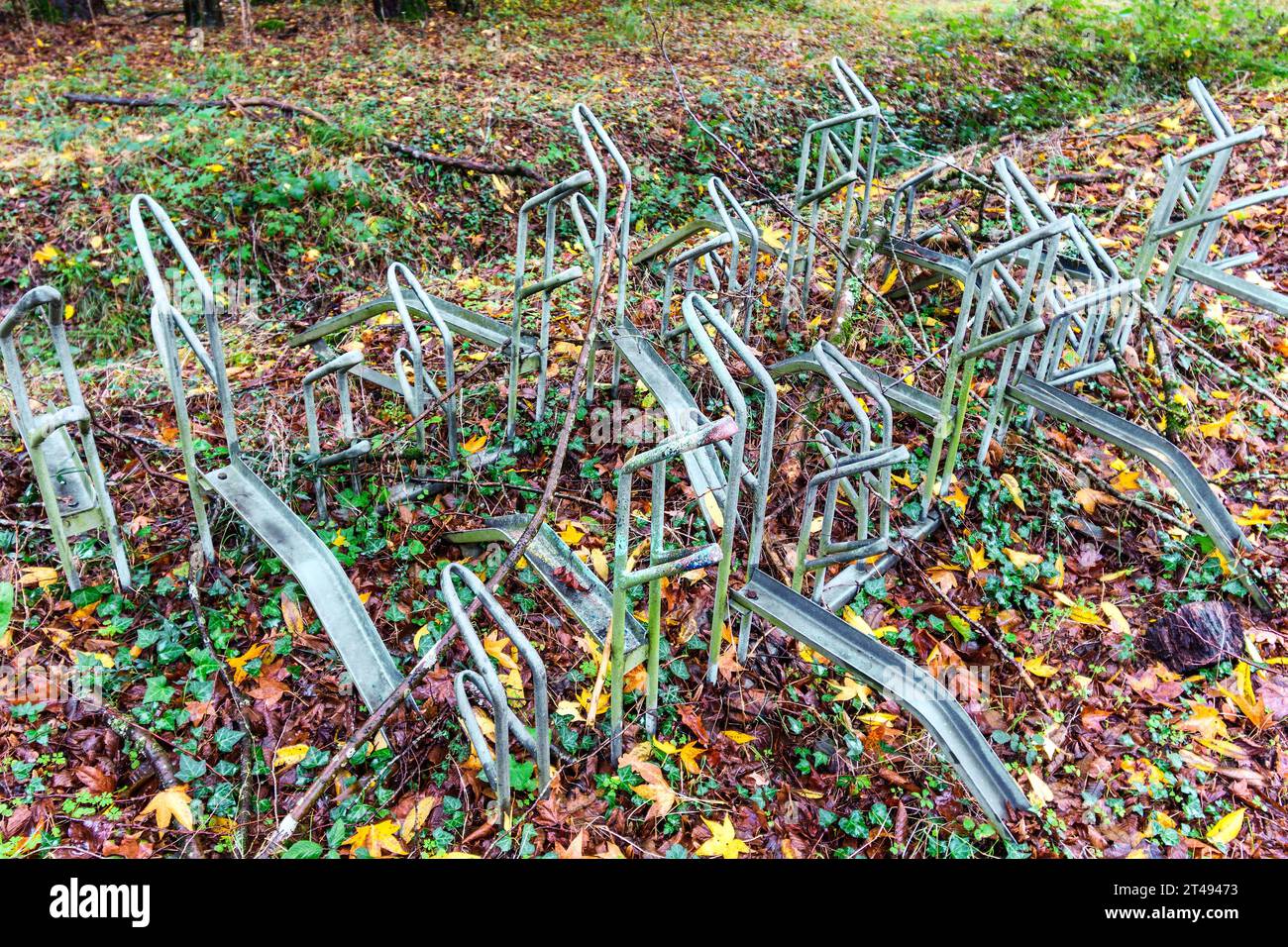 Fahrradständer aus Metall in Waldlichtung - La Ribaloche, Indre-et-Loire (37), Frankreich. Stockfoto