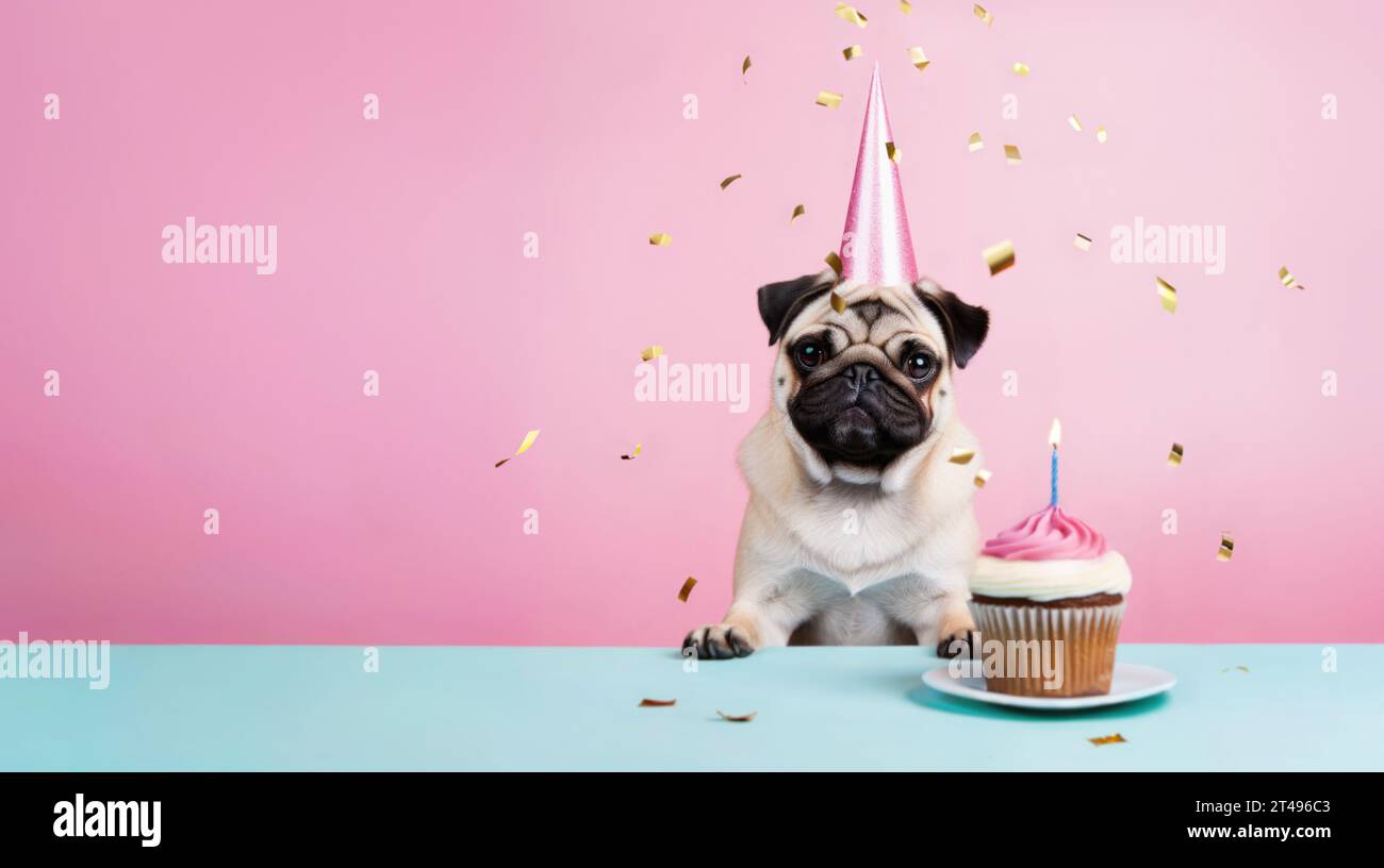 Niedlicher Mops-Hund, der auf einer Geburtstagsfeier mit Geburtstagskuchen und Konfetti feiert Stockfoto
