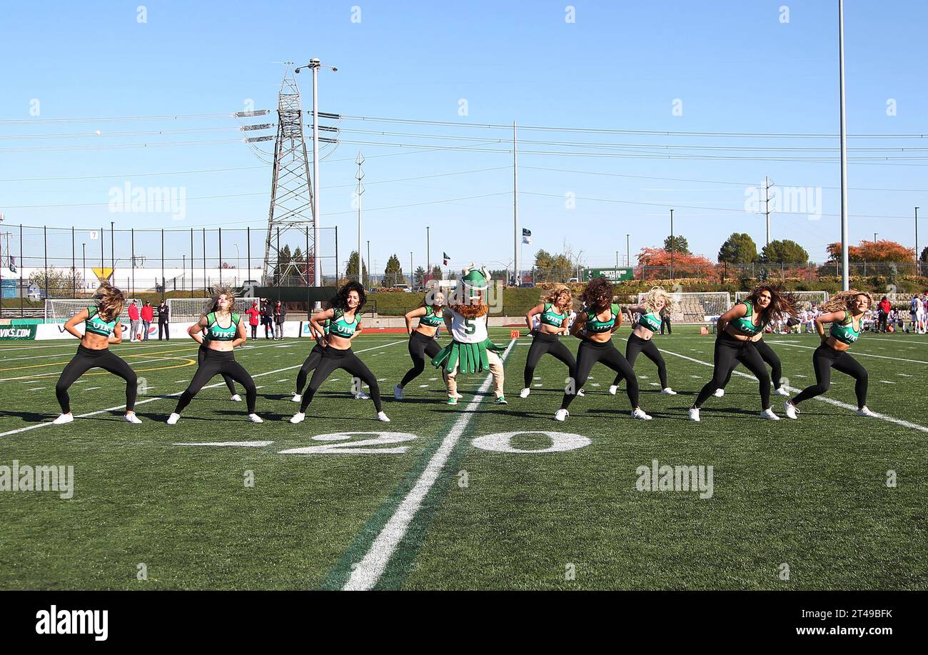 Hillsboro Stadium, Portland, OR, USA. Oktober 2023. Das Portland State Maskottchen tritt während des NCAA-Fußballspiels zwischen den Eastern Washington Eagles und den Portland State Vikings im Hillsboro Stadium in Portland auf. Larry C. Lawson/CSM/Alamy Live News Stockfoto