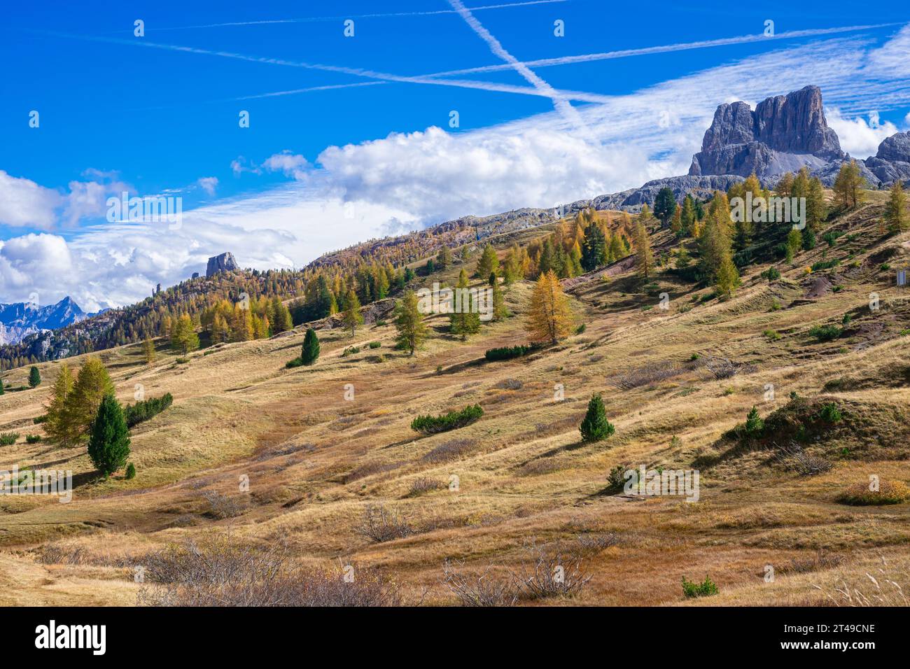 Idyllischer Blick auf eine Almwiese in den Dolomiten Stockfoto