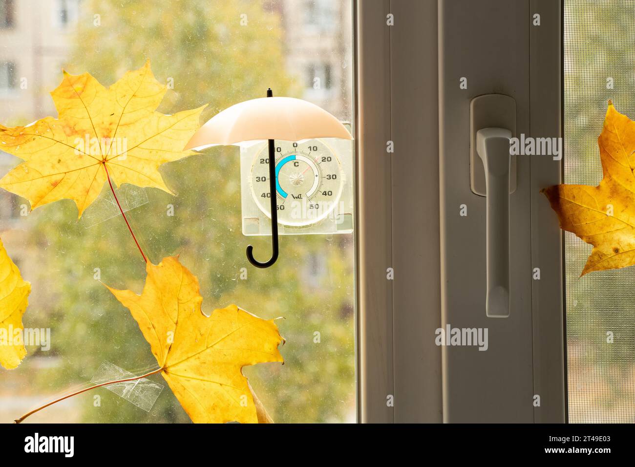 Ein kleiner Regenschirm hängt über einem Thermometer am Fenster, und Ahornblätter sind an das Fenster in der Wohnung in der Nähe des Sonnenschirms geklebt, Herbstwetter, Stockfoto