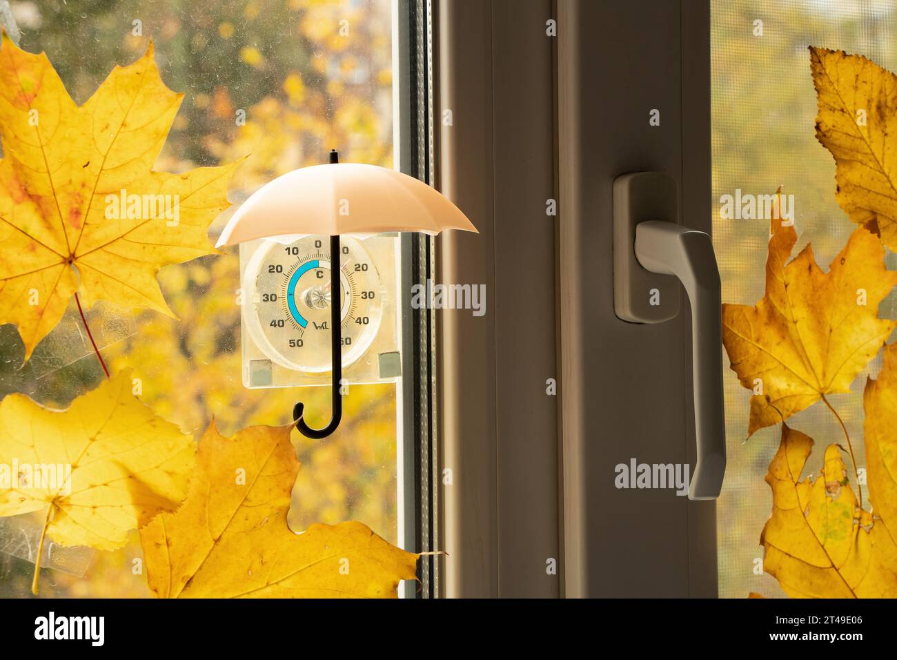 Ein kleiner Regenschirm hängt über einem Thermometer am Fenster, und Ahornblätter sind an das Fenster in der Wohnung in der Nähe des Sonnenschirms geklebt, Herbstwetter, Stockfoto