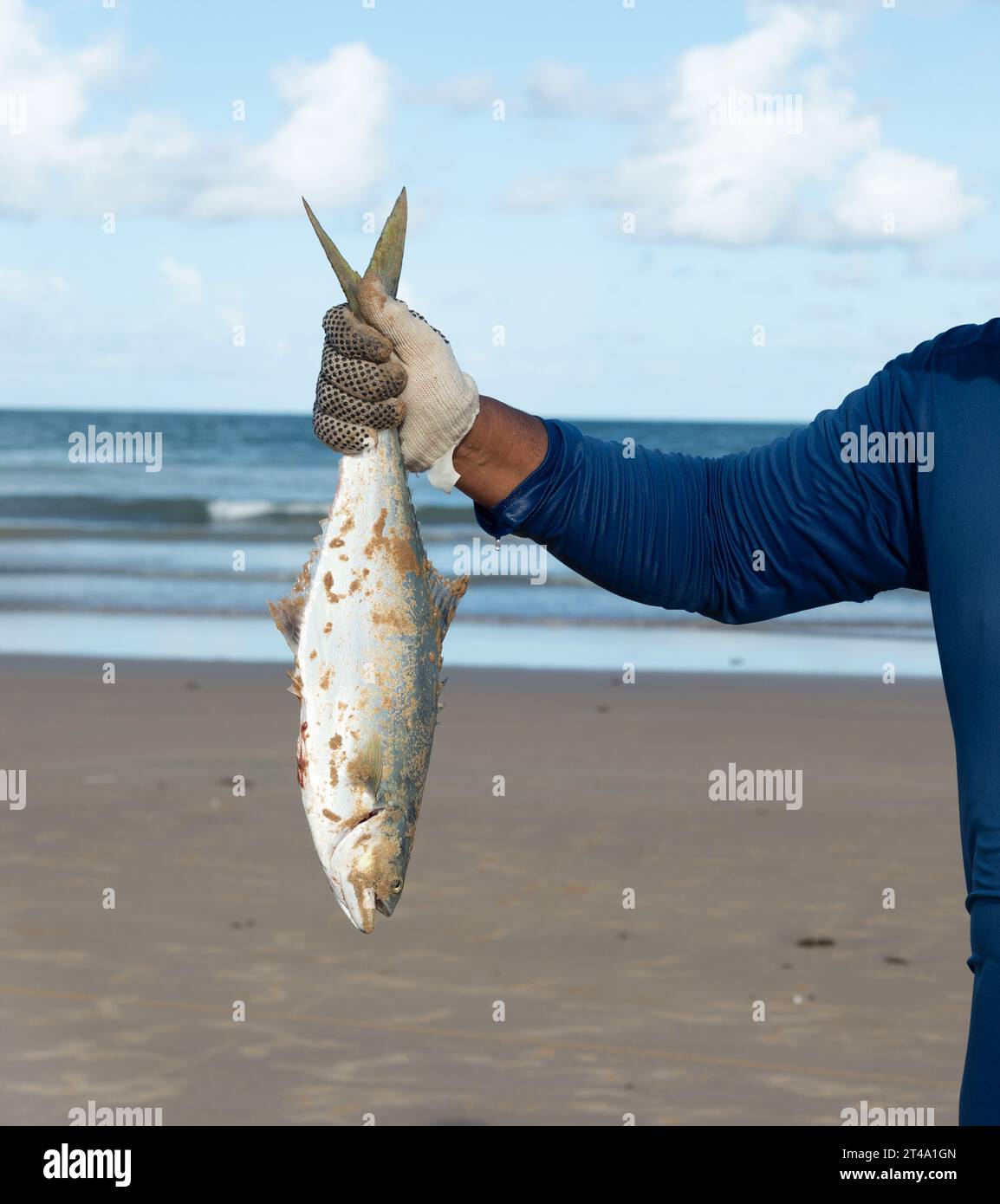 Salvador, Bahia, Brasilien - 26. April 2019: Ein Tarponfisch, Megalops atlanticus, wird von einem Fischer gehalten. Stockfoto