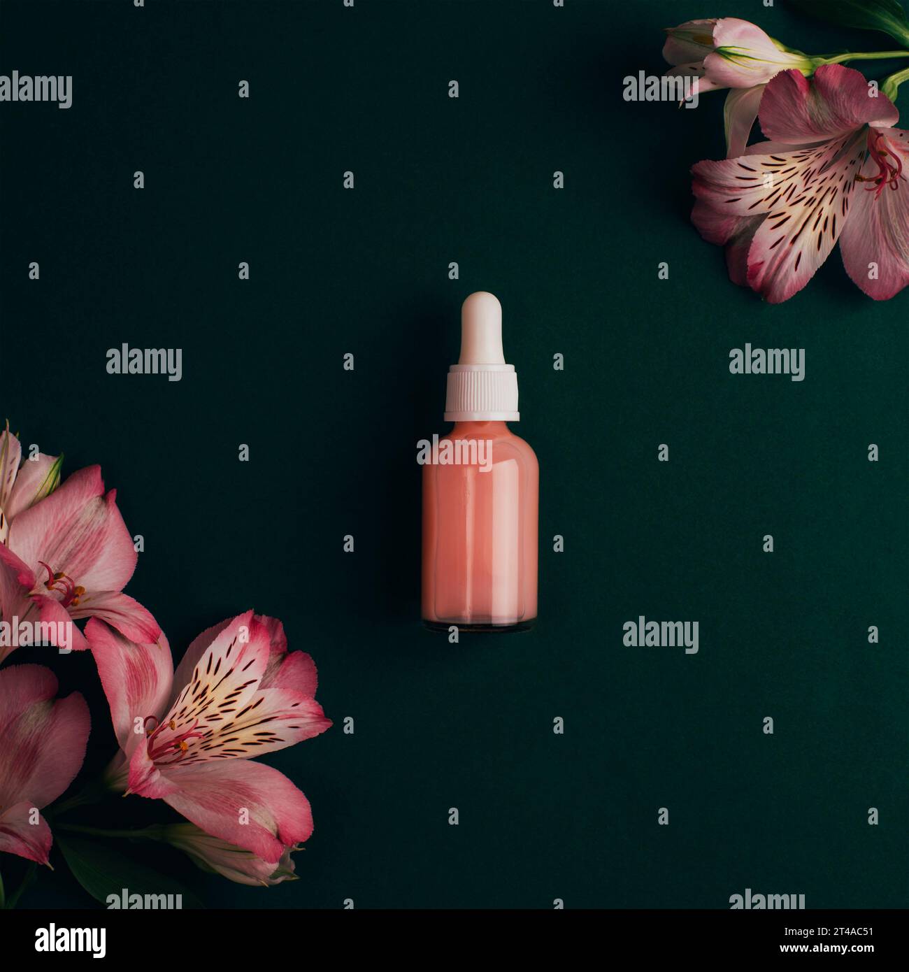 Kosmetikserumflasche und Alstroemeria-Rosa-Blüten auf dunkelgrünem Hintergrund. Draufsicht, flach liegend. Stockfoto