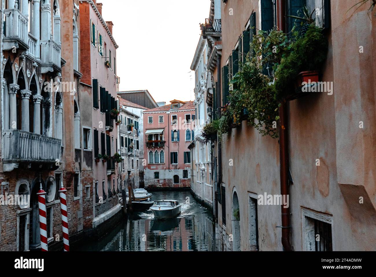 Malerischer schmaler Kanal mit alten Gebäuden mit Topfpflanzen in Venedig, Italien Stockfoto