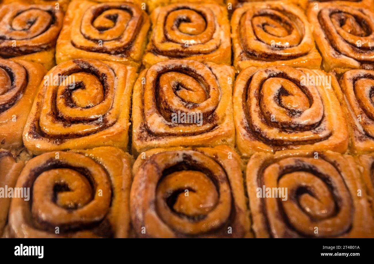 Stuttgart, Deutschland. Oktober 2023. Zimtbrötchen sind im neu eröffneten Cinnamood Store in der Stuttgarter Innenstadt erhältlich. Das Cinnamon Bun Start-up hat auch Niederlassungen in Berlin, München und Köln. Quelle: Christoph Schmidt/dpa/Alamy Live News Stockfoto