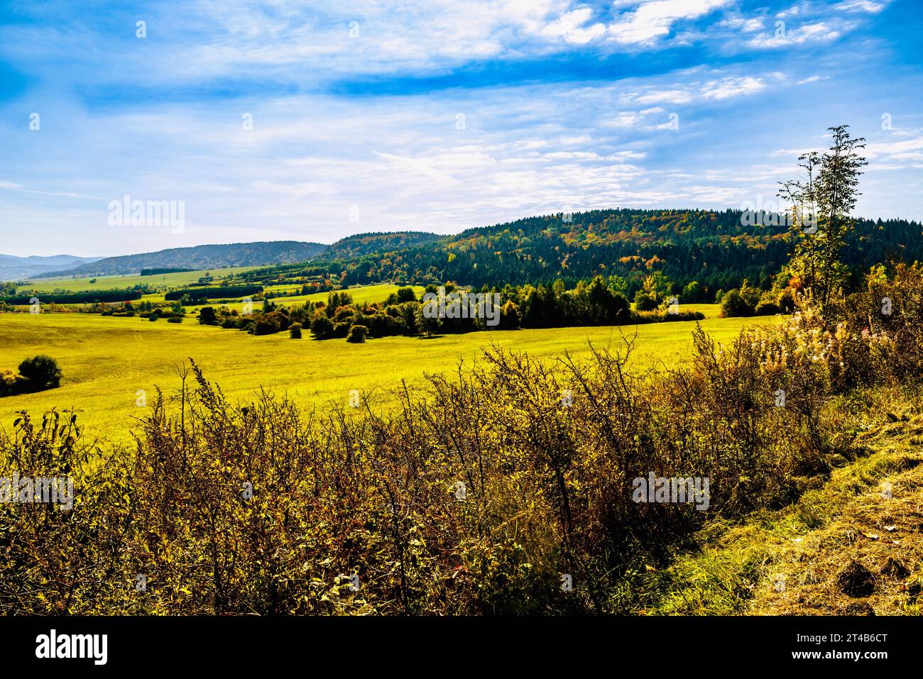 Panoramablick auf den herbstlichen Wald, wunderschöne Landschaft, Polen Stockfoto
