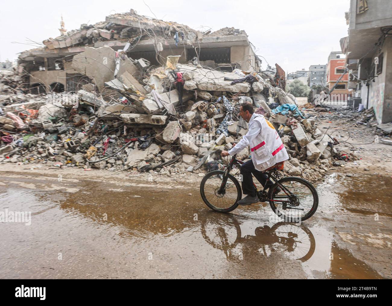 Dr hassan zein al din Fotos und Bildmaterial in hoher Auflösung Alamy