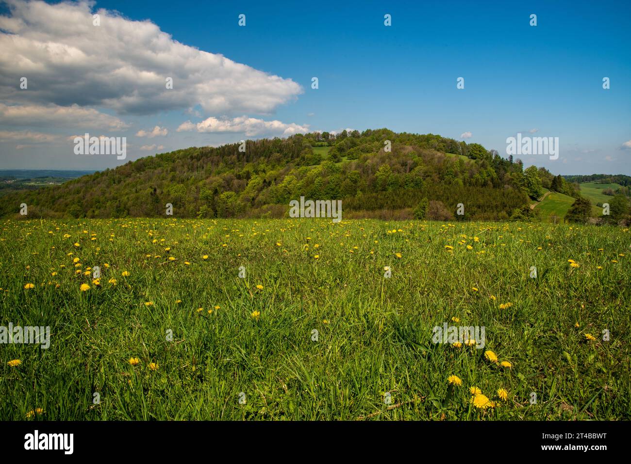 Frühling über Ustron in Beskiden in Polen mit Blumenwiesen und meist waldbedeckten Tul-Hügeln Stockfoto