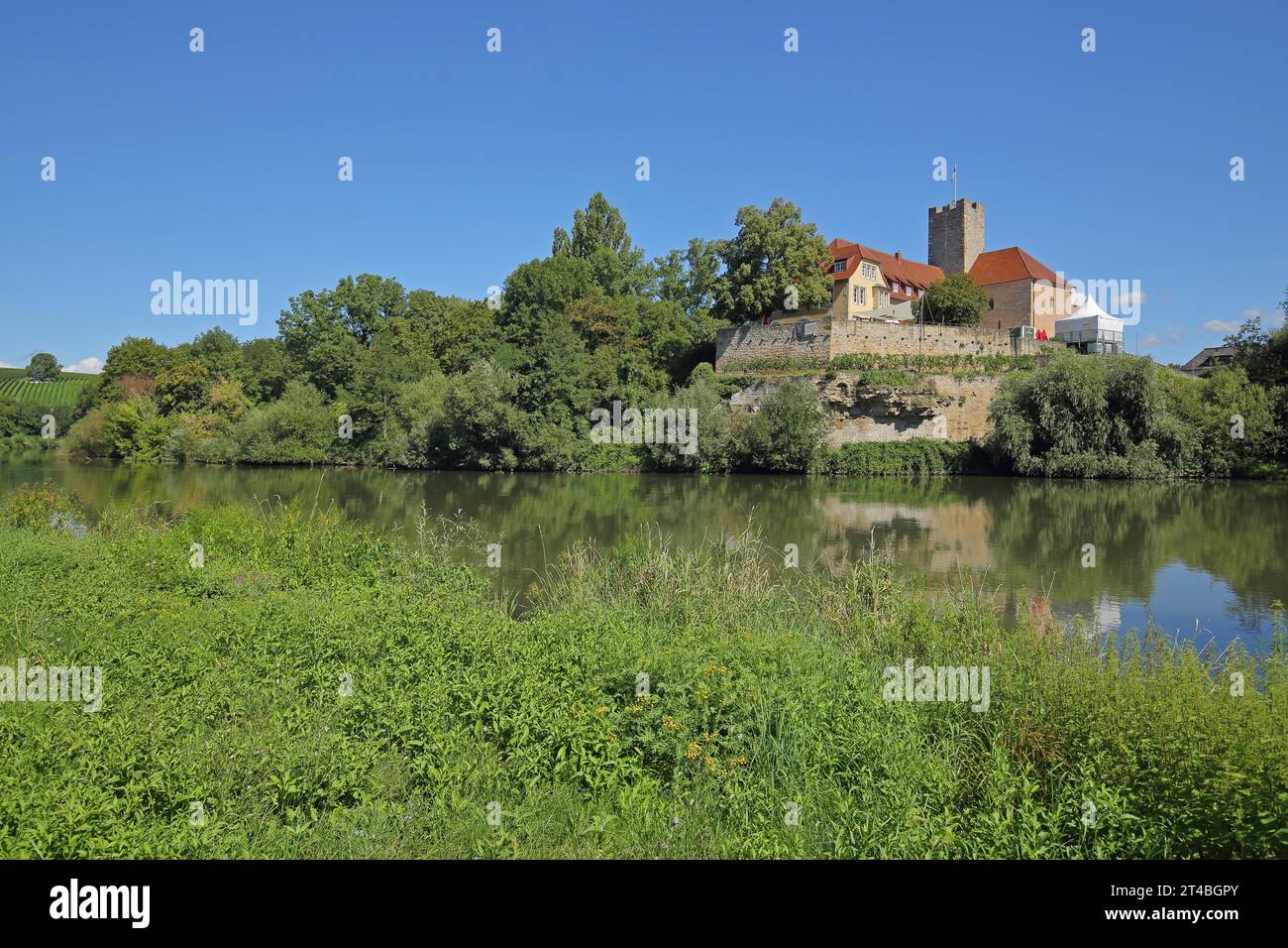 Blick über den Neckar auf Schloss Grafenburg, Flussufer, Lauffen am Neckar, Neckartal, Baden-Württemberg, Deutschland Stockfoto