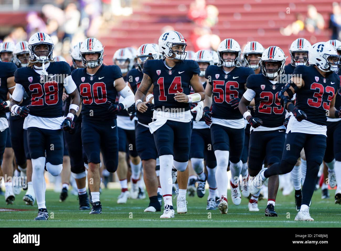 Stanford Cardinal Quarterback Ashton Daniels (14) führt das Team auf das Feld, bevor es zu einem College Football regulären Saisonspiel gegen die Washin kommt Stockfoto