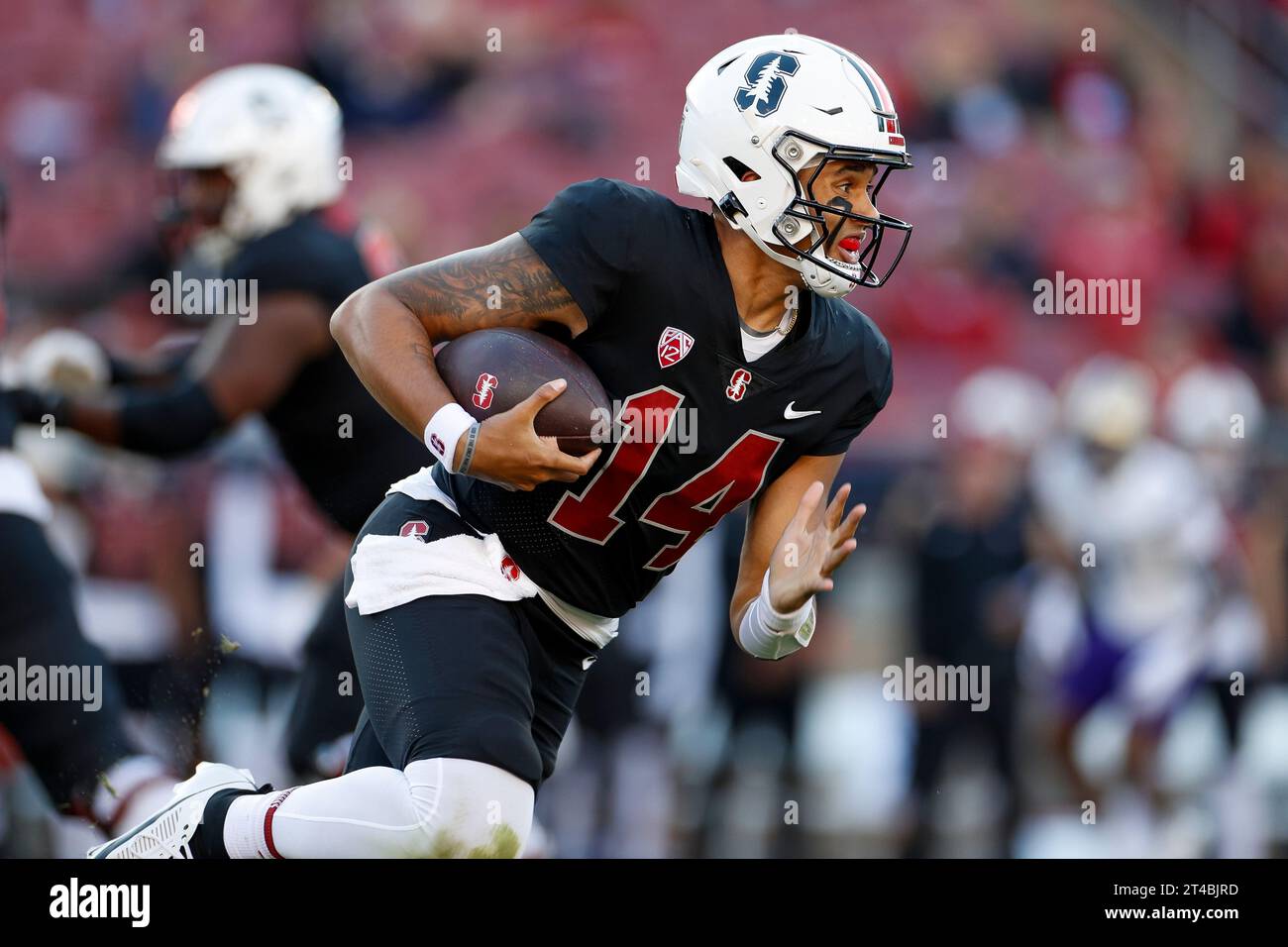 Der Stanford Cardinal Quarterback Ashton Daniels (14) läuft in der ersten Halbzeit während eines regulären College Football-Saisonspiels gegen die Waschen Stockfoto