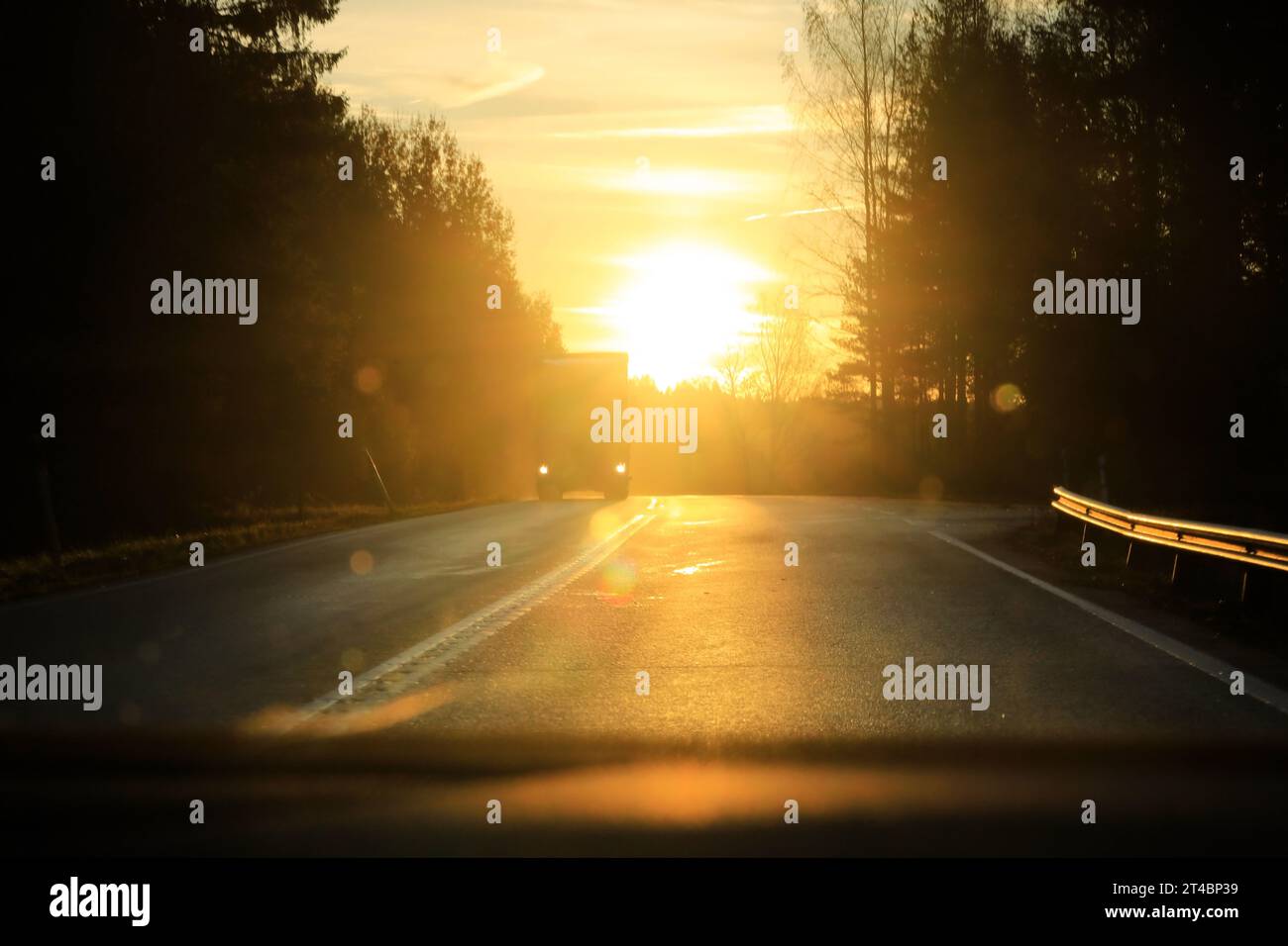 Fahren auf einer Landstraße gegen die aufgehende Sonne am Horizont mit einem entgegenkommenden schweren Lkw. Konzept für geringe Sicht. Stockfoto