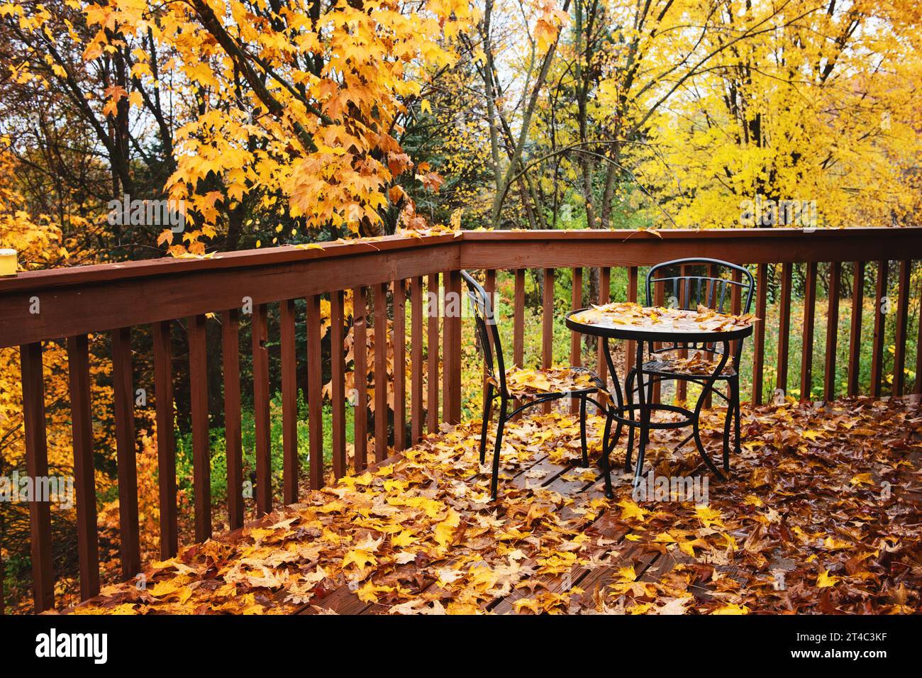 Kleiner Terrassentisch und Stühle auf Blattüberdachter Terrasse im Herbst. Stockfoto