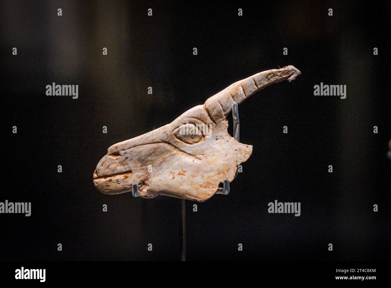 Ziegenumriss, graviert und ausgeschnitten, Mittelmagdalenian, untere Galerie La Garma, Museum für Urgeschichte und Archäologie (MUPAC), Santander, Kantabrien, Stockfoto