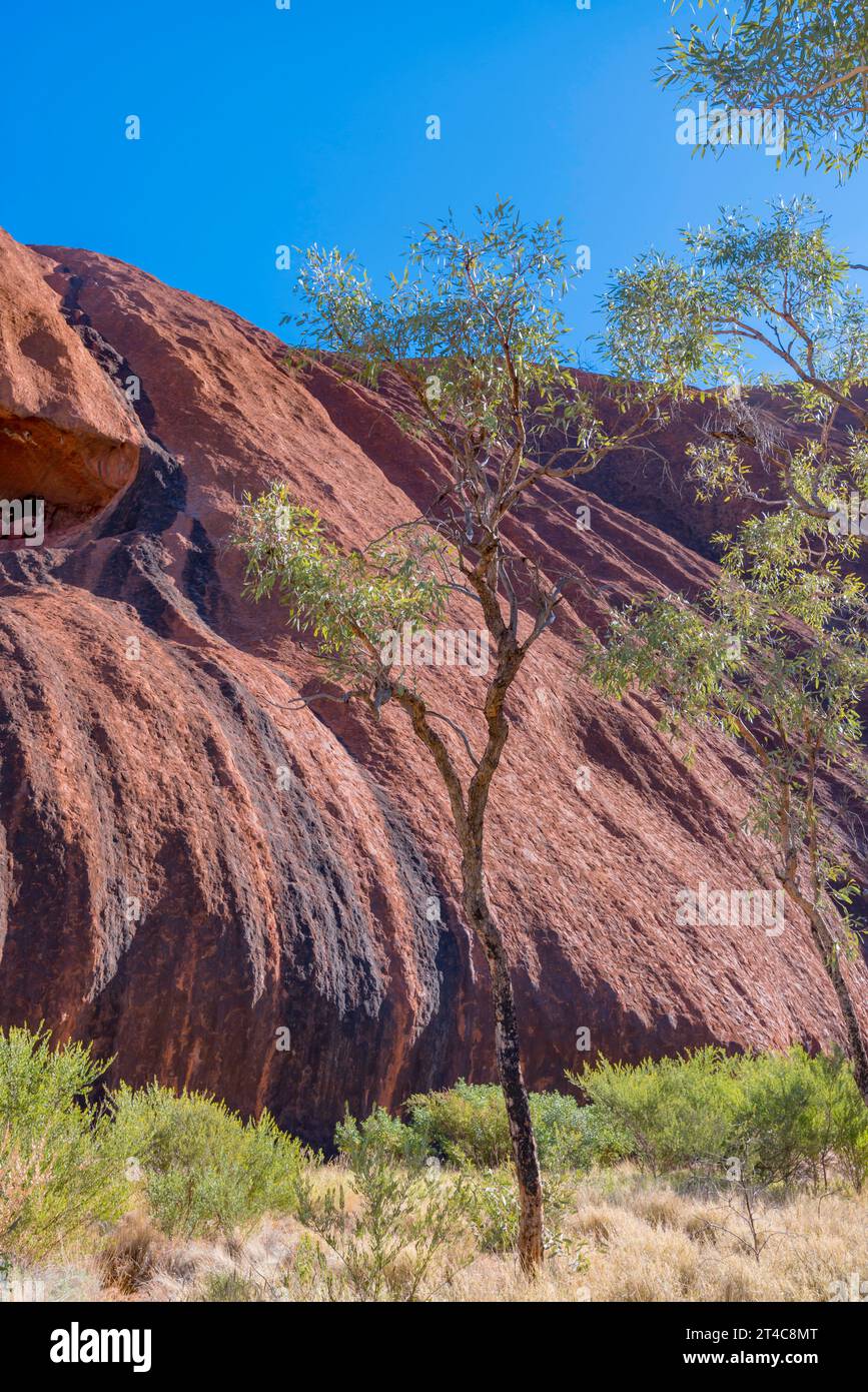 Nahaufnahme von Sedimentkämmen im nicht sensiblen Teil des Uluru (Ayers Rock) im Northern Territory, Australien, am Vormittag im Winter Stockfoto