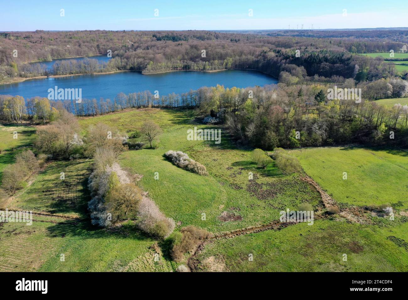 Luftaufnahme der Heckenwand und des Lankauf-Sees im Frühjahr, Deutschland, Schleswig-Holstein Stockfoto