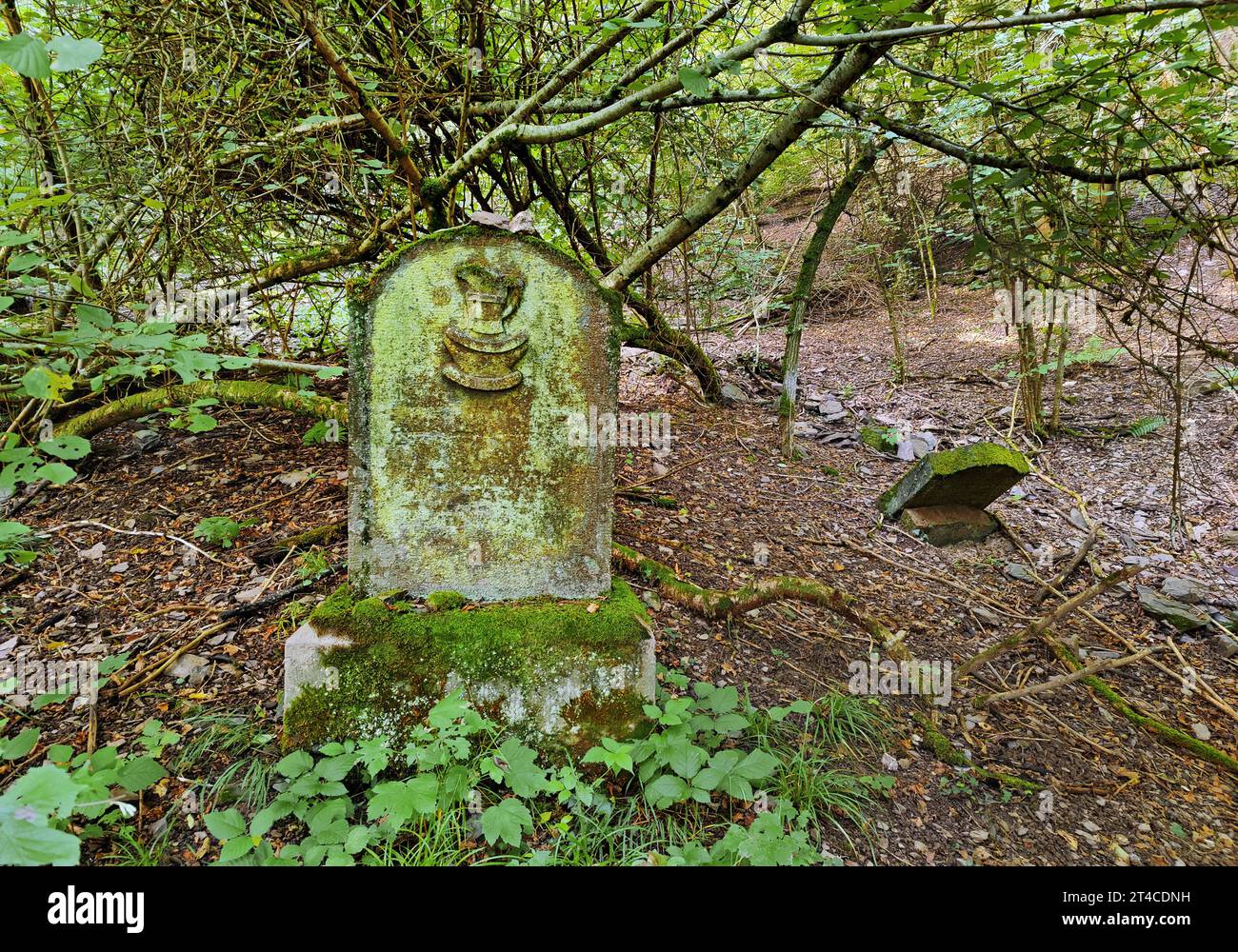 Älterer jüdischer Friedhof in Knippwiese im Wald, Deutschland, Rheinland-Pfalz, Cochem Stockfoto