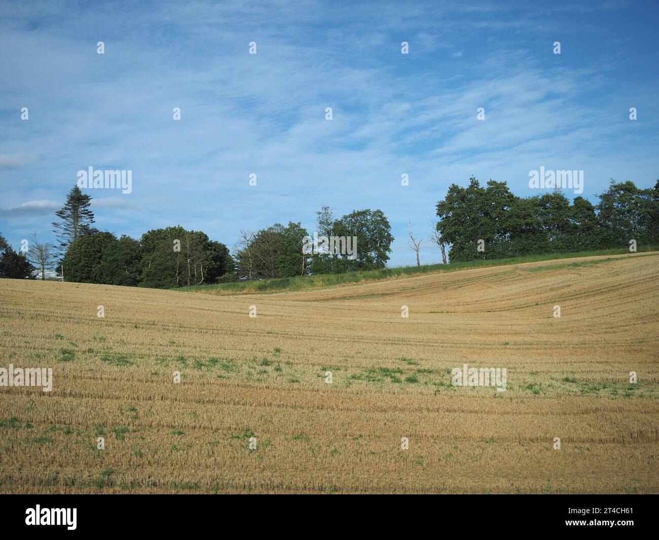 Panorama der schottischen Lowlands zwischen Dundee und Aberdeen Stockfoto